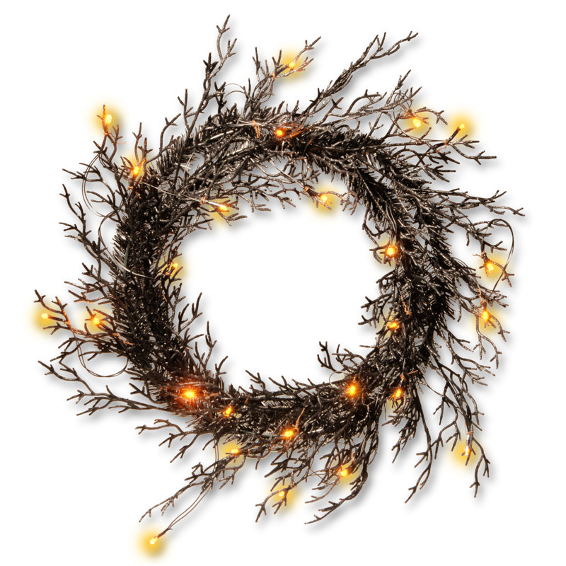 National Tree Co. Halloween Wreath with Lights & Reviews Wayfair
